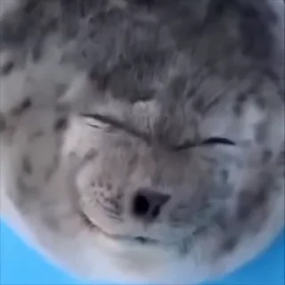 ☺️