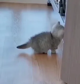 😋