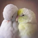 😃