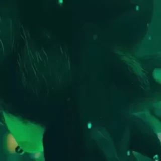 🌟