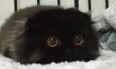😐