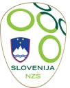 🇸🇮
