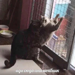 😢
