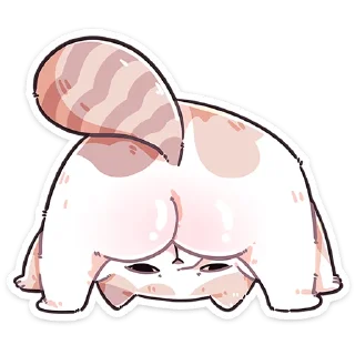🍑