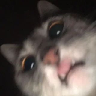 🥳