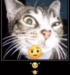 🤨