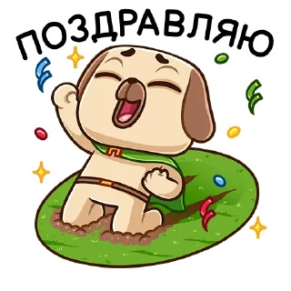 🎉