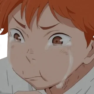 😿