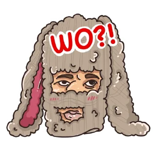 🐰