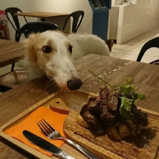 🍖