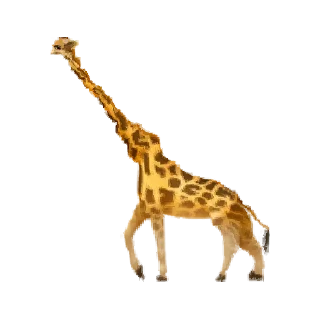 🦒