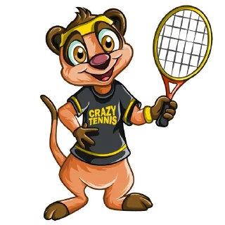 Безумный Теннис @crazytennisbet