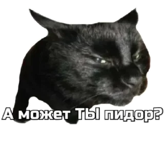 🤔