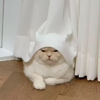 🤨