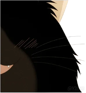 😼