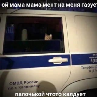🥺