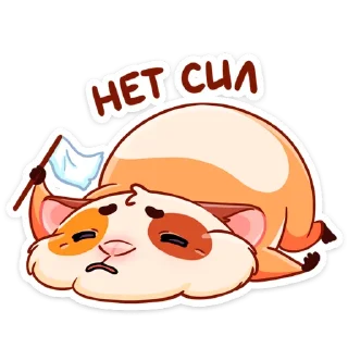 😴