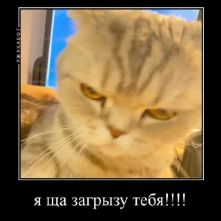 😡