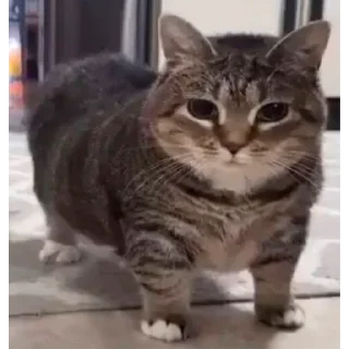 😶