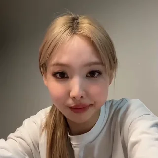 🐰