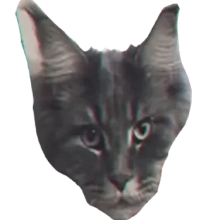 🗿
