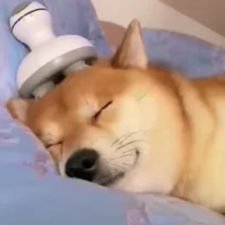 😊