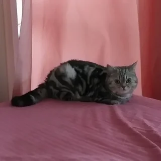 😒