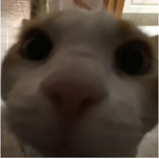 😶