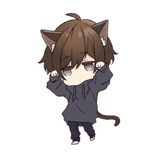🐱