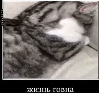 🥴
