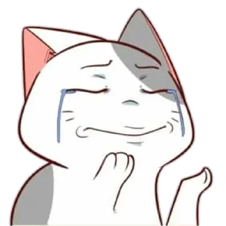 😸