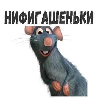 🙀