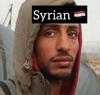 🇸🇾