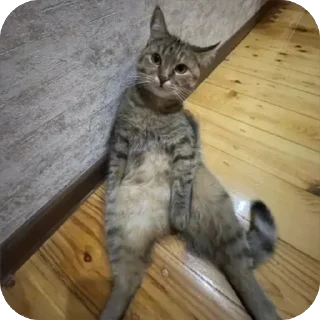 🧐