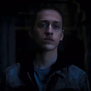 🕷️