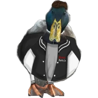 🦆