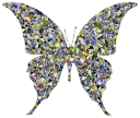 🦋