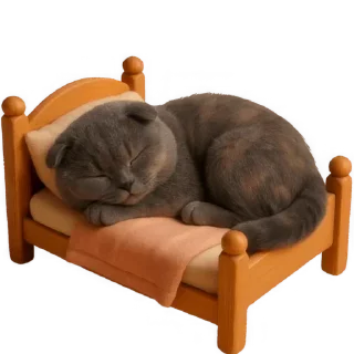 😴