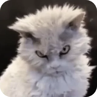 👿