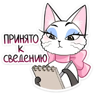 🐱