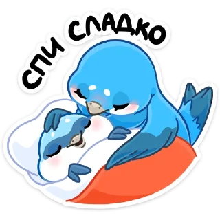 😴