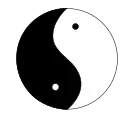 ☯️