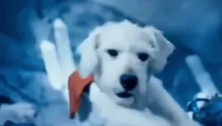 🕺