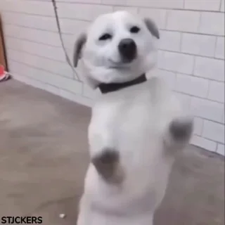 👻