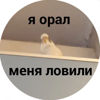 😮