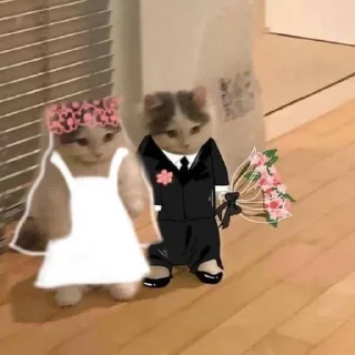 👩‍❤️‍👨