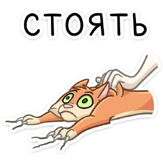 😵