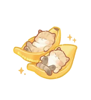 🌟