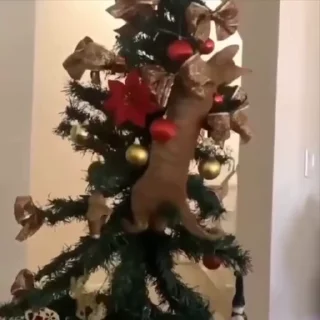 🎄