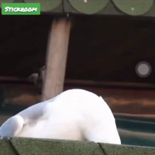 🙃